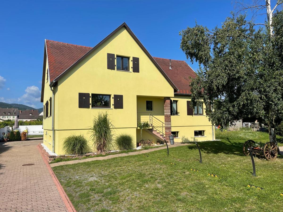 Alsacebnb - Gîte 12 personnes dans le vignoble - Piscine privée chauffée&Spa Ammerschwihr Exterior foto