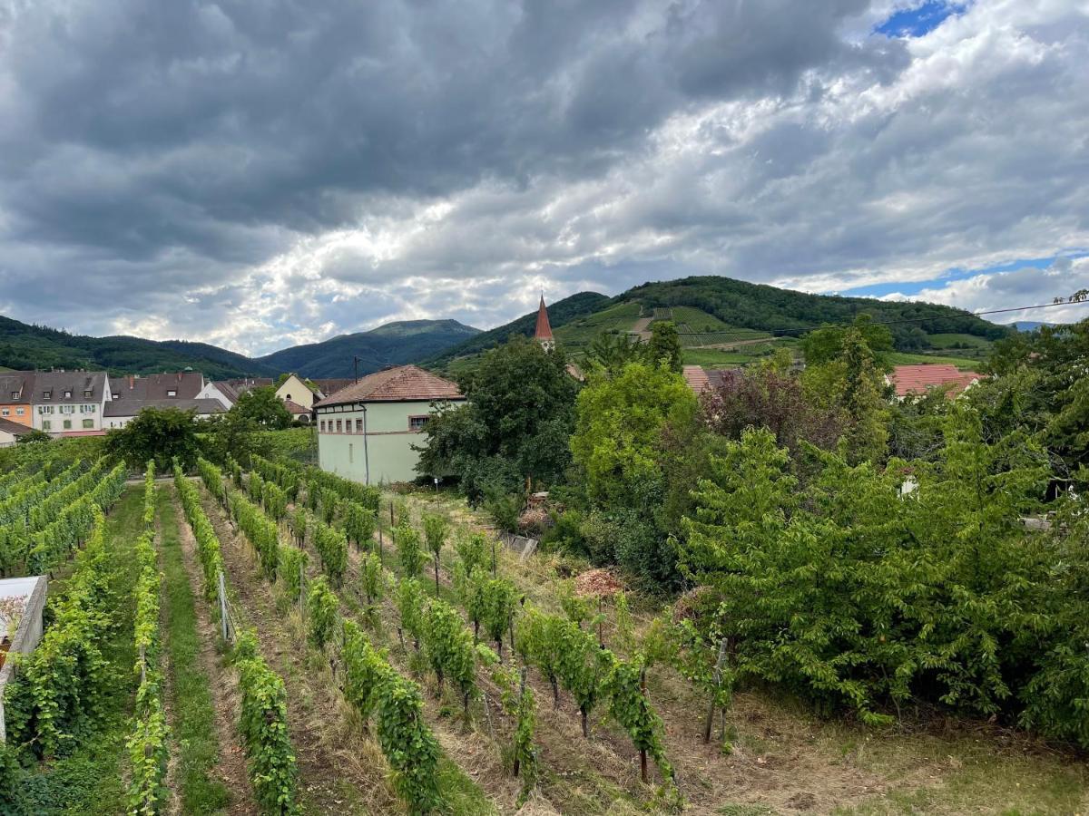 Alsacebnb - Gîte 12 personnes dans le vignoble - Piscine privée chauffée&Spa Ammerschwihr Exterior foto