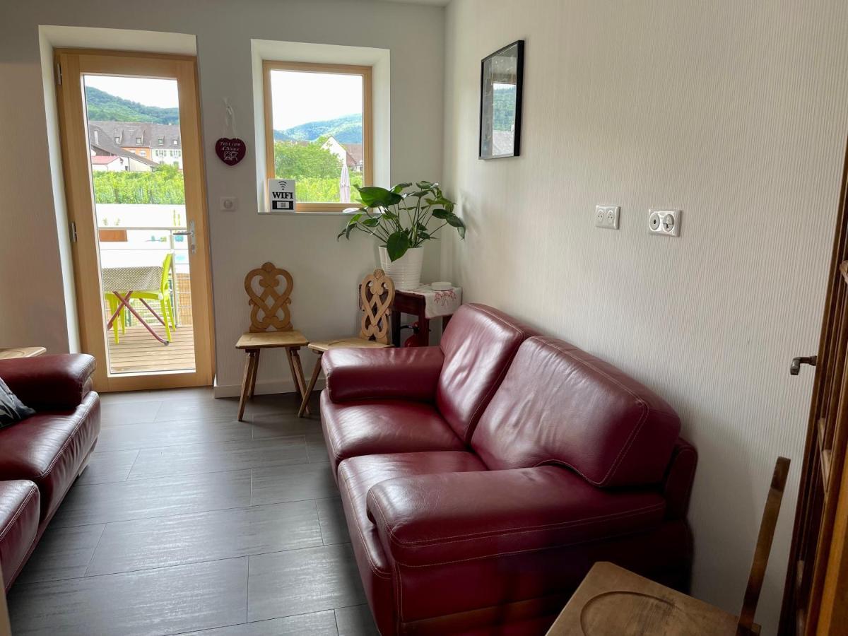 Alsacebnb - Gîte 12 personnes dans le vignoble - Piscine privée chauffée&Spa Ammerschwihr Exterior foto