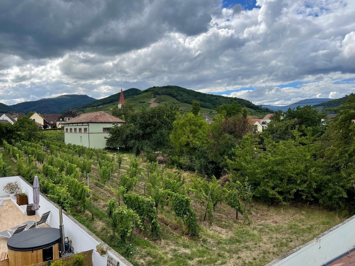 Alsacebnb - Gîte 12 personnes dans le vignoble - Piscine privée chauffée&Spa Ammerschwihr Exterior foto