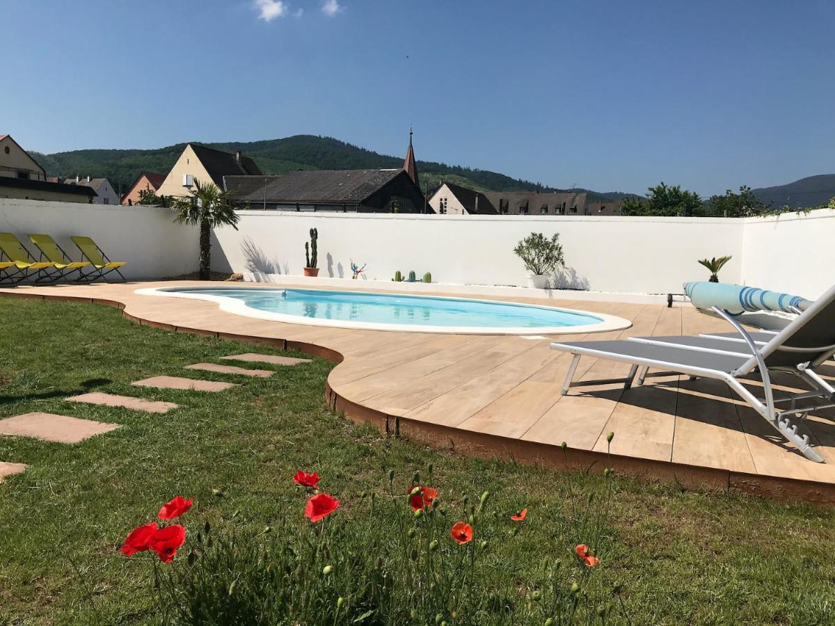 Alsacebnb - Gîte 12 personnes dans le vignoble - Piscine privée chauffée&Spa Ammerschwihr Exterior foto